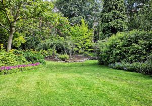 Optimiser l'expérience du jardin à Nettancourt